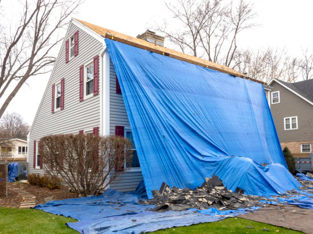 Best Shed Removal  in National City, CA